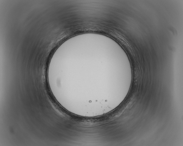 X0000113360489200910061043