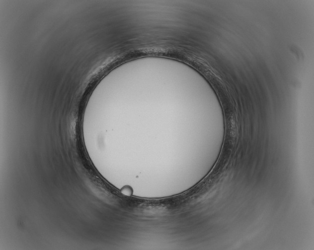 X0000113360491200910061043