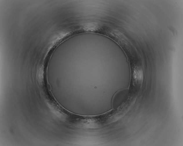 X0000113360492200910061043