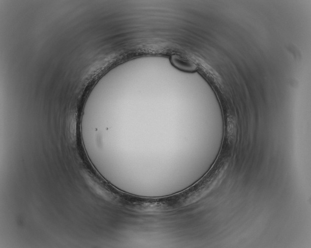 X0000113360493200910061043