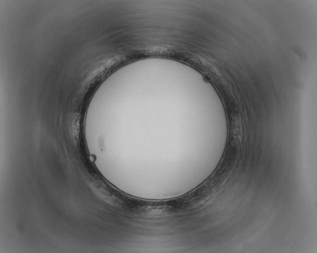 X0000113360495200910061043