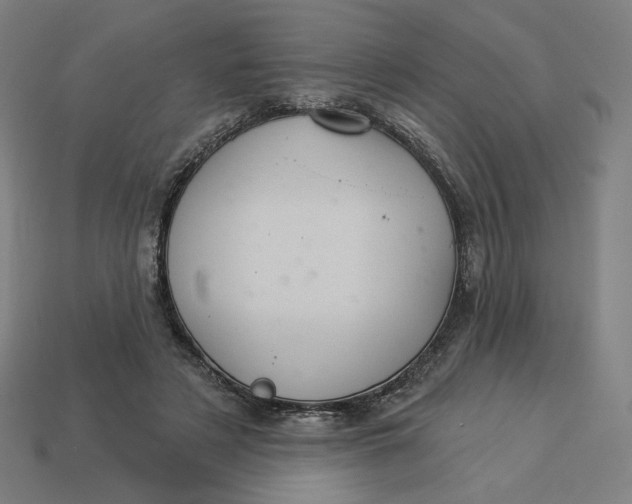 X0000113360497200910061043