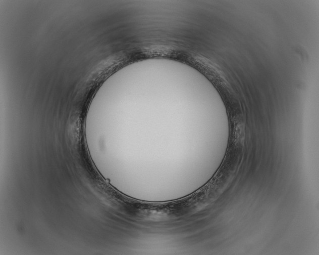 X0000113360498200910061043