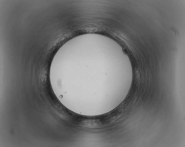 X0000113360499200910061043