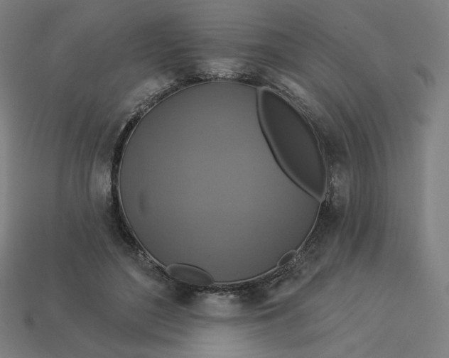 X0000113360500200910061043