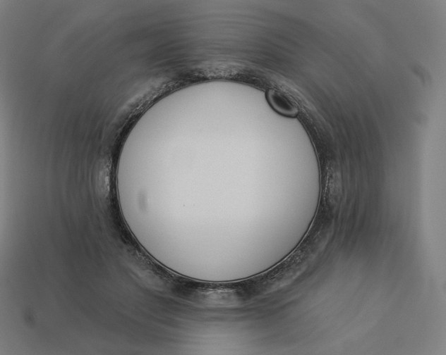 X0000113360501200910061043