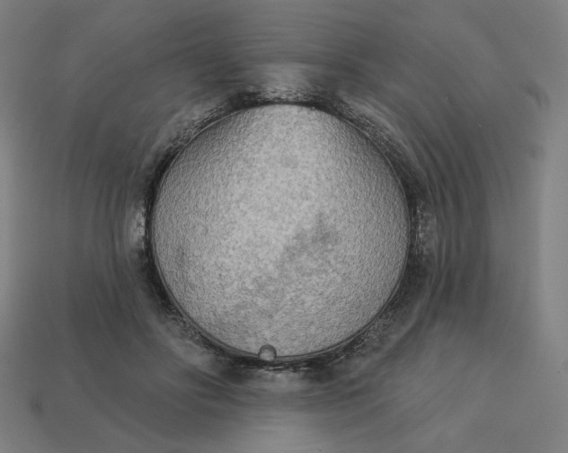 X0000113360502200910061043