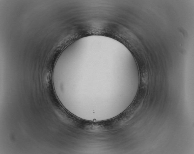 X0000113360503200910061043