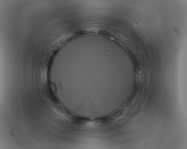 X0000113360504200910061043