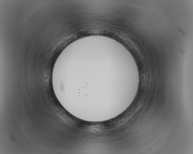 X0000113360505200910061043