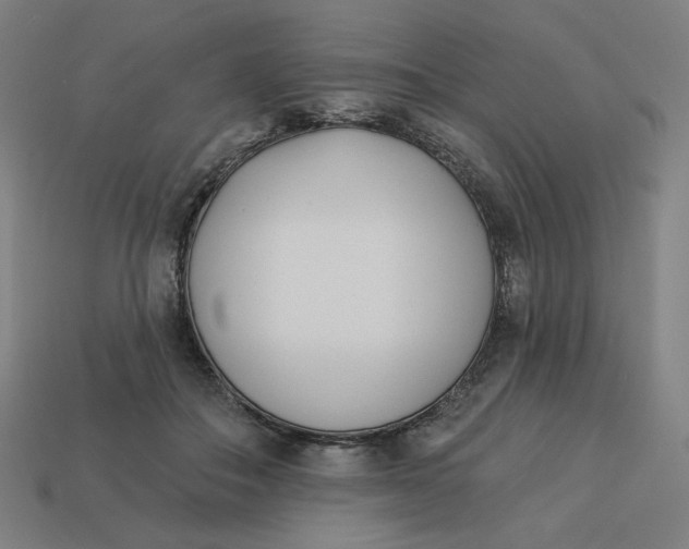 X0000113360506200910061043