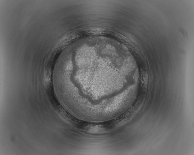 X0000113360507200910061043