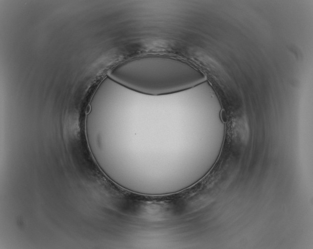 X0000113360508200910061043