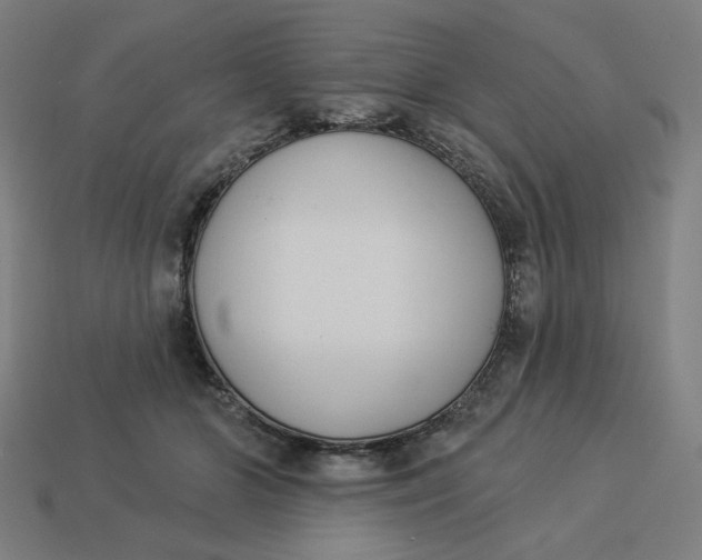 X0000113360510200910061043