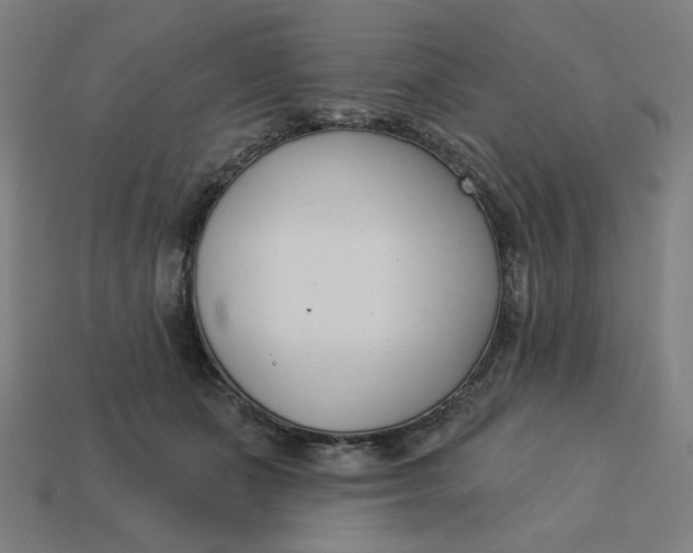 X0000113360511200910061043