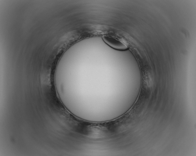 X0000113360512200910061043