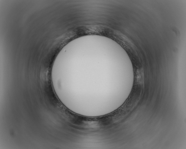 X0000113360514200910061042