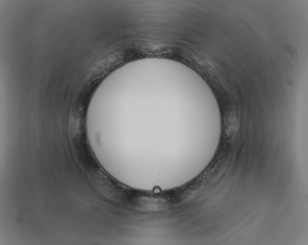 X0000113360515200910061042