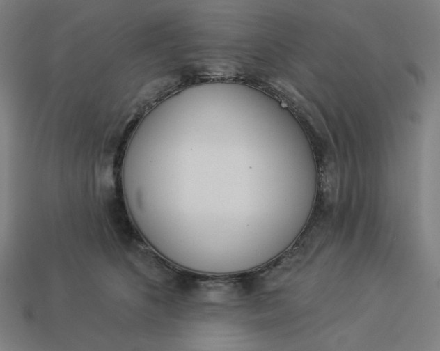 X0000113360516200910061042