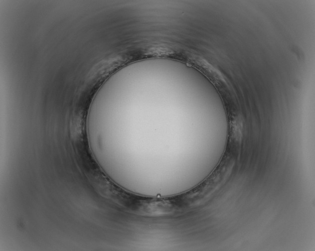 X0000113360517200910061042