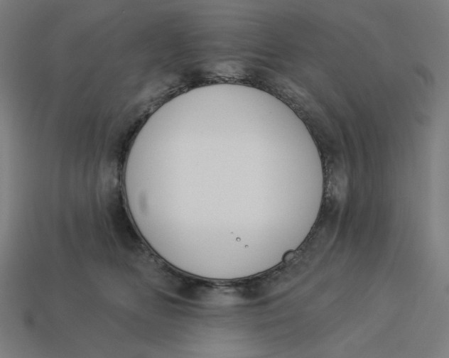 X0000113360518200910061042