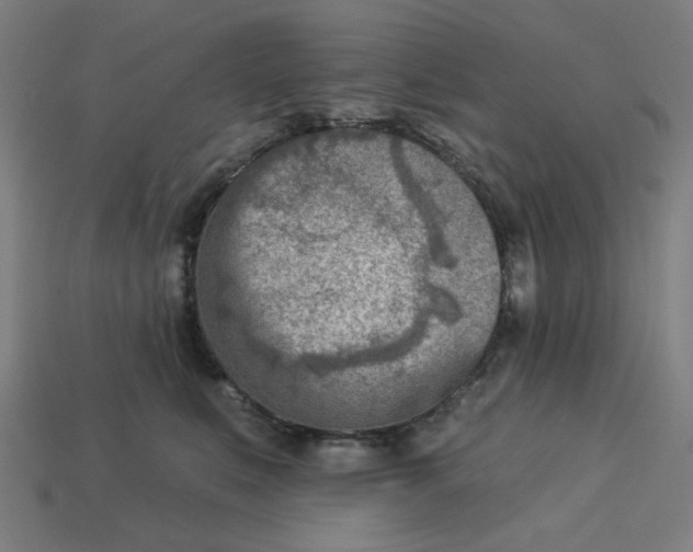 X0000113360519200910061042