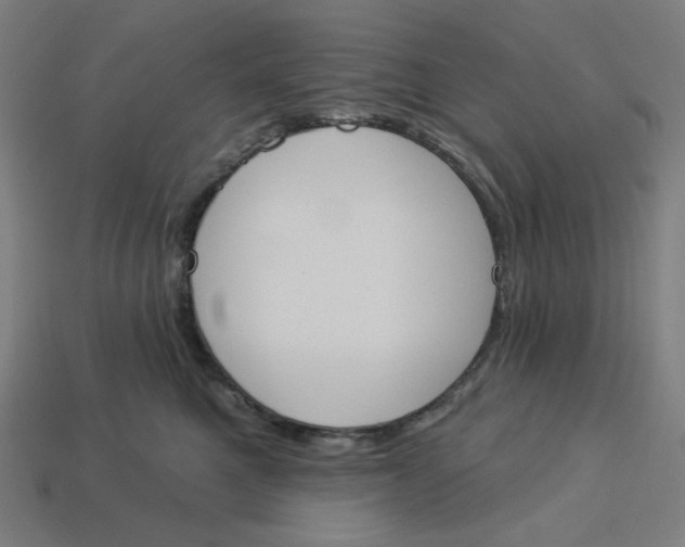 X0000113360521200910061042