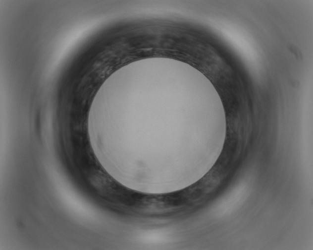 X0000113360526200910061042