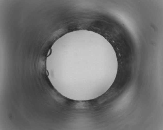 X0000113360527200910061042