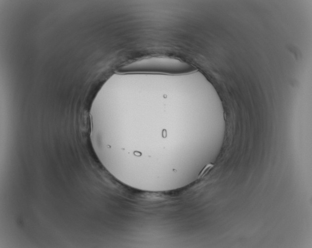 X0000113360528200910061042