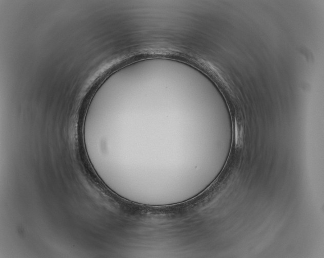 X0000113360531200910061042