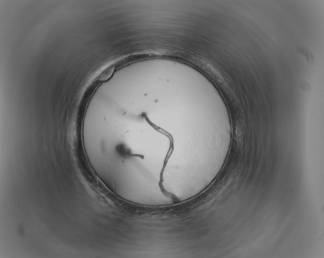 X0000113360532200910061042