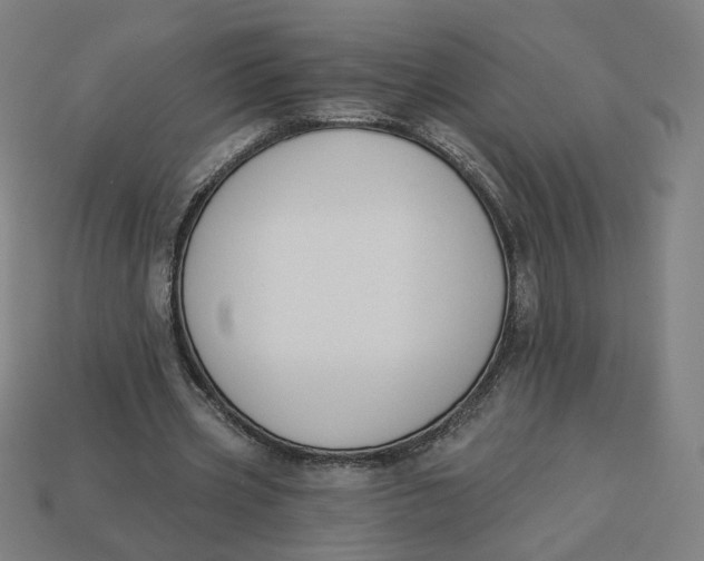 X0000113360533200910061042