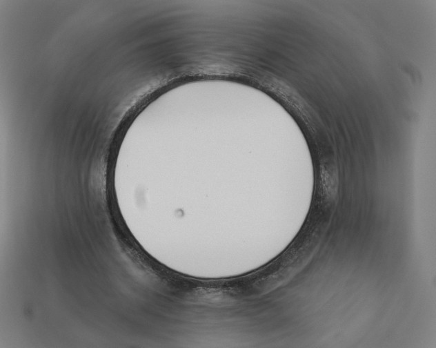 X0000113360534200910061042