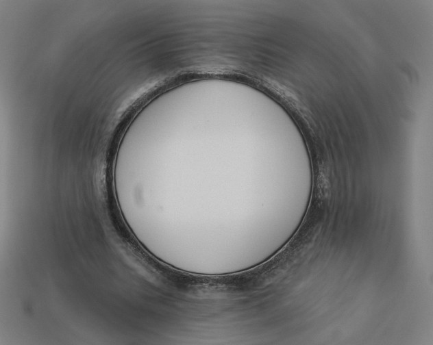 X0000113360535200910061042