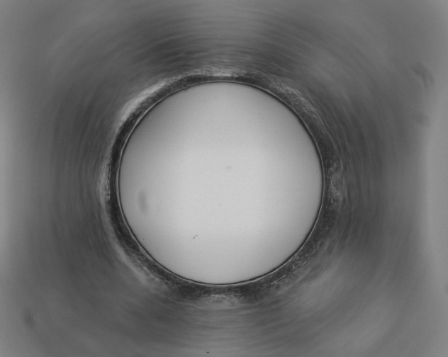 X0000113360536200910061042