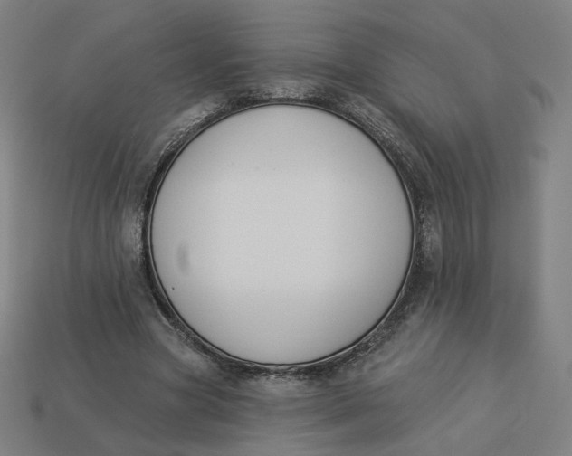 X0000113360537200910061042