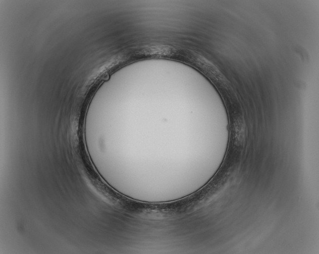 X0000113360538200910061042