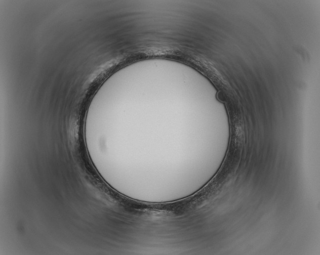 X0000113360539200910061042