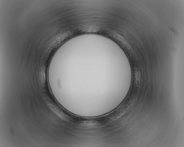 X0000113360541200910061042