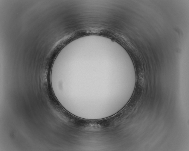 X0000113360543200910061042