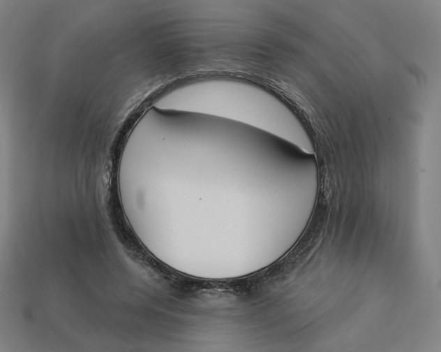 X0000113360544200910061042