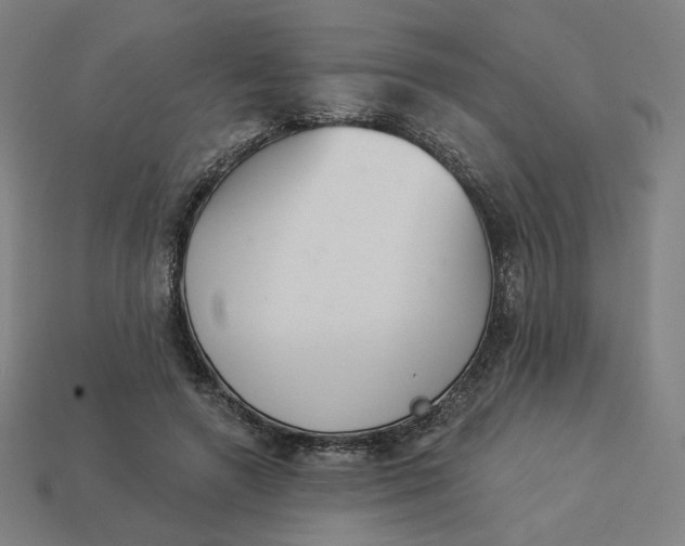 X0000113360546200910061042