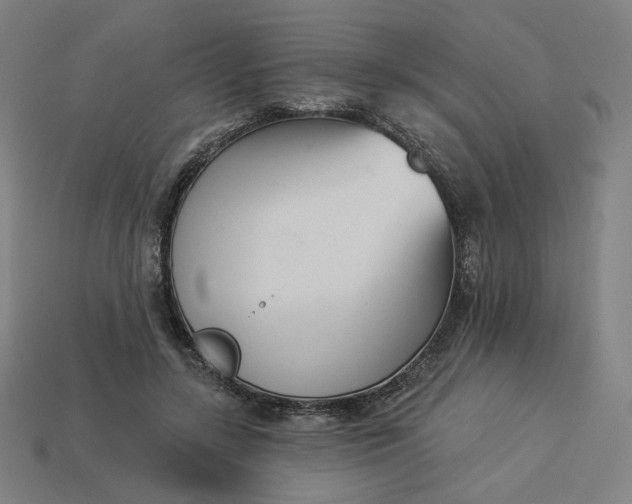 X0000113360547200910061042