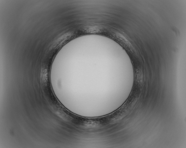 X0000113360549200910061042