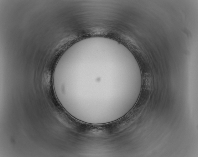 X0000113360550200910061042