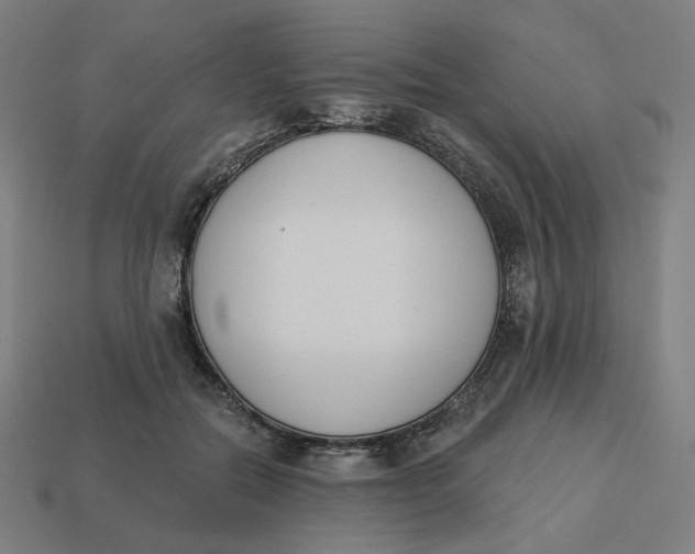 X0000113360554200910061042