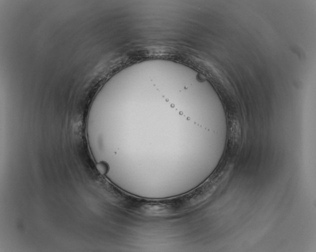 X0000113360557200910061042