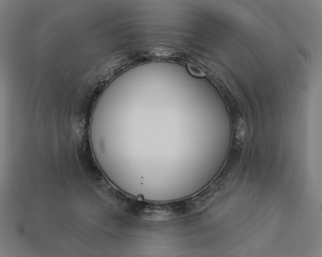 X0000113360559200910061042