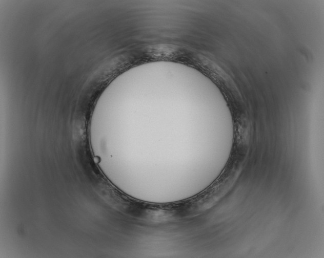 X0000113360561200910061042